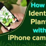 How to Identify Plants with iPhone Camera