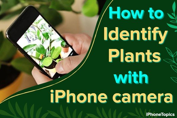 How to Identify Plants with iPhone Camera
