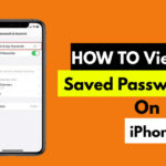 How to View Saved Password on your iPhone