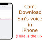 cant download siri voices