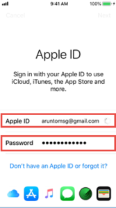 Sign in the Apple ID Password