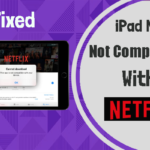 iPad mini not compatible with Netflix