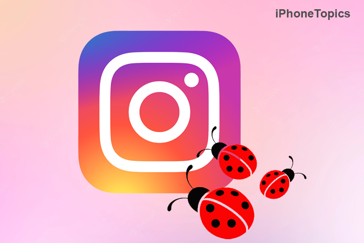 Instagram app Crashing issue on iPhone After App Update
