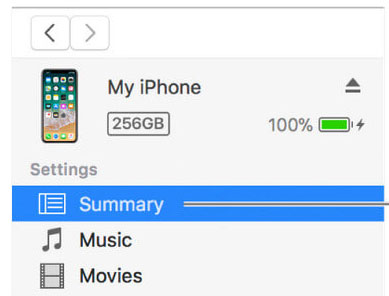 iTunes iPhone summary