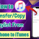 How to Transfer/Copy Playlist From iPhone to iTunes
