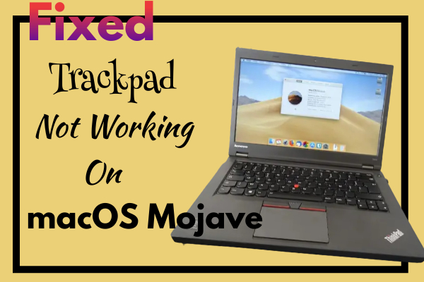 Fixed: Trackpad Not Working on macOS Mojave