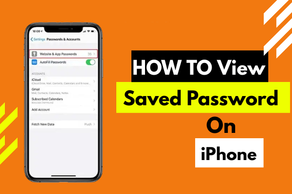 How to View Saved Password on your iPhone