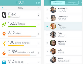 fitbit app for iphone ipad